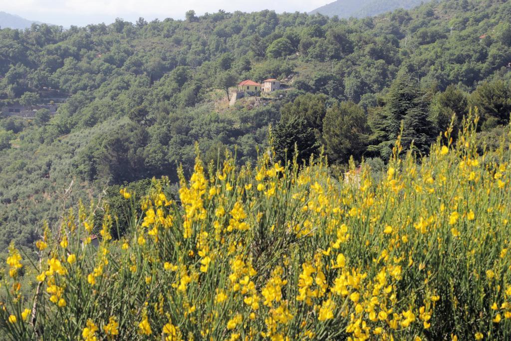 Case Natura Pontedassio Εξωτερικό φωτογραφία